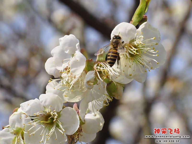 照片 115.jpg