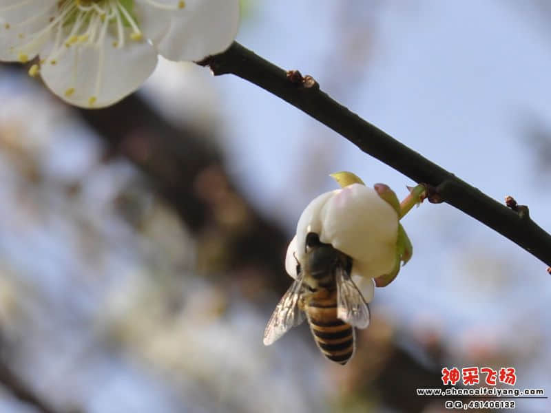 照片 120.jpg
