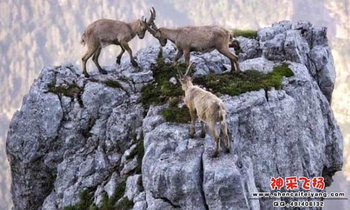 未命名.jpg1.jpg