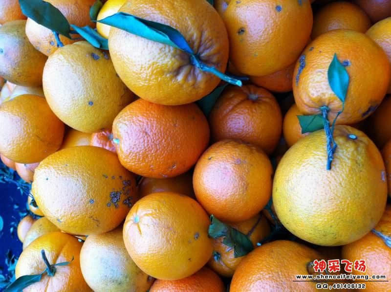 照片 050.JPG