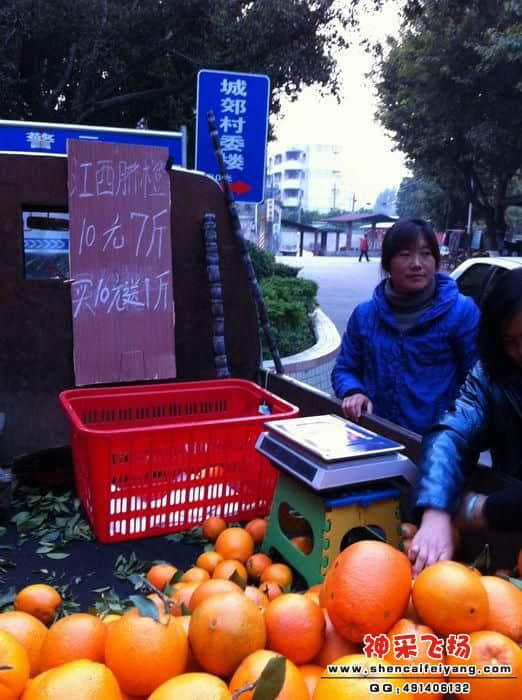 照片 048.JPG