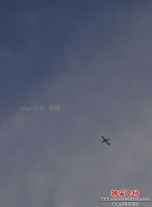 照片 036.jpg