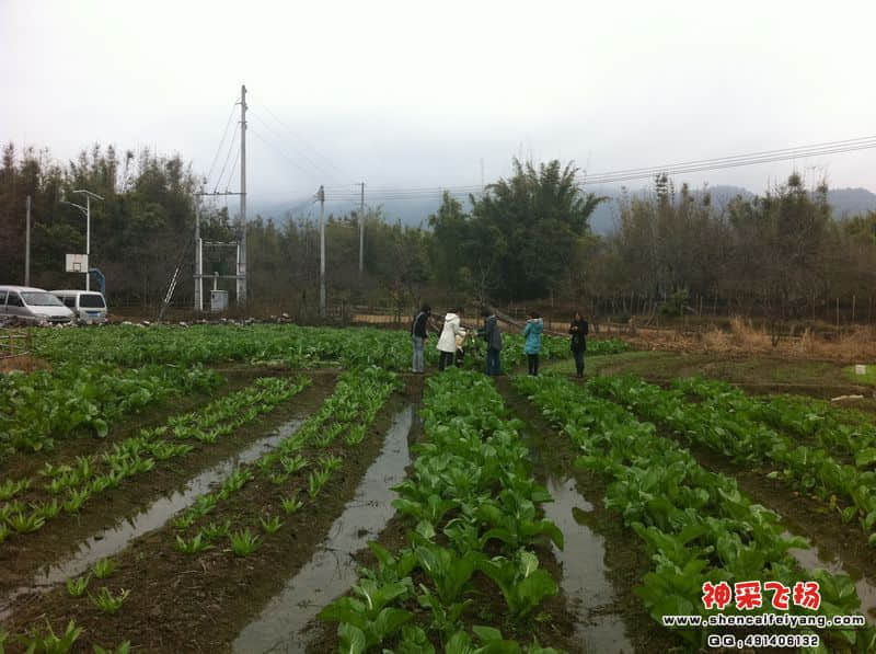 照片 095.jpg