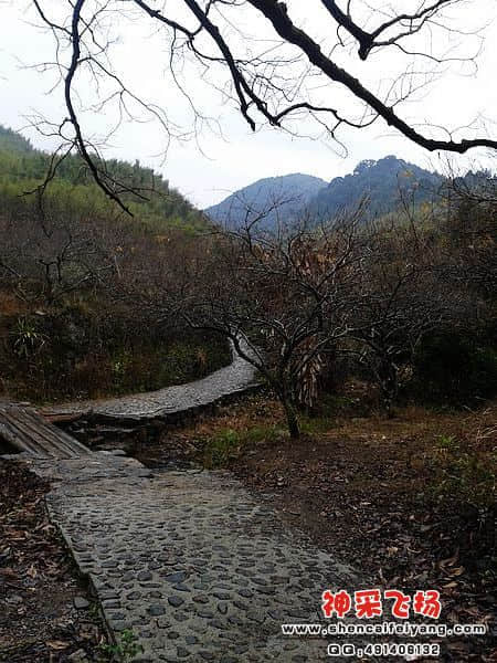 2012-01-13 10.13.51.jpg