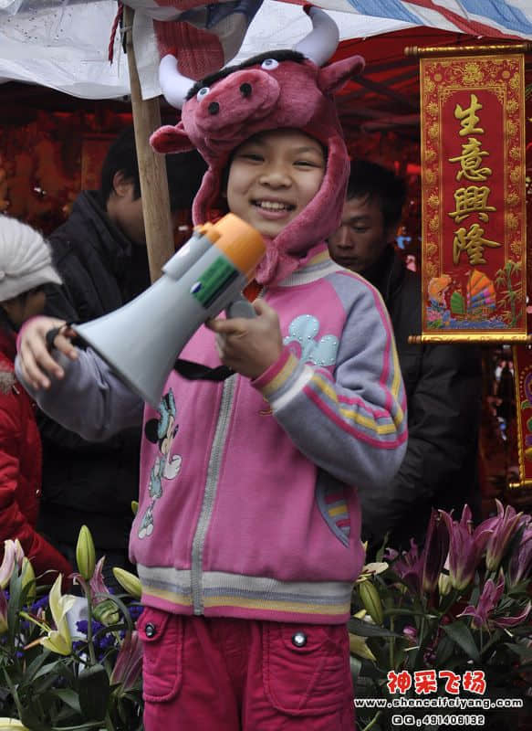 牛角梳 又见牛角梳