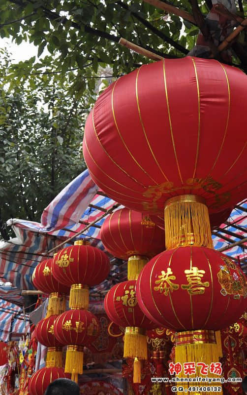 照片 298.jpg
