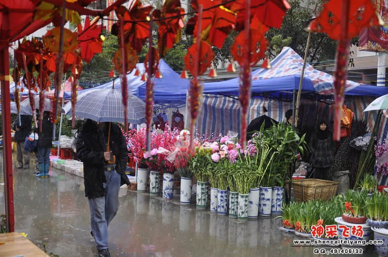 雨中逛花街