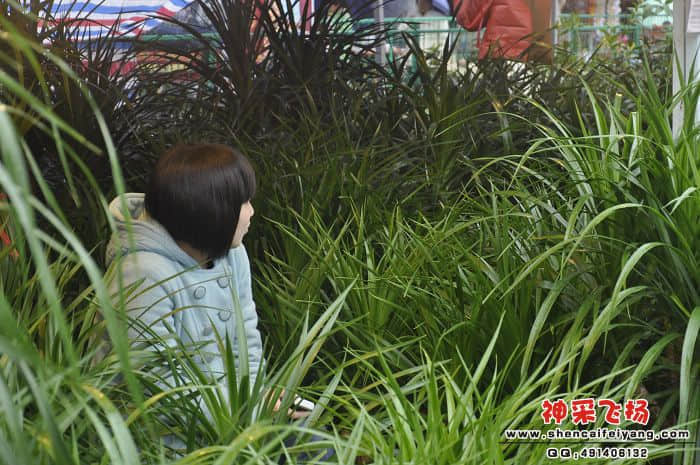 照片 075.jpg