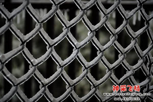 照片 205.jpg
